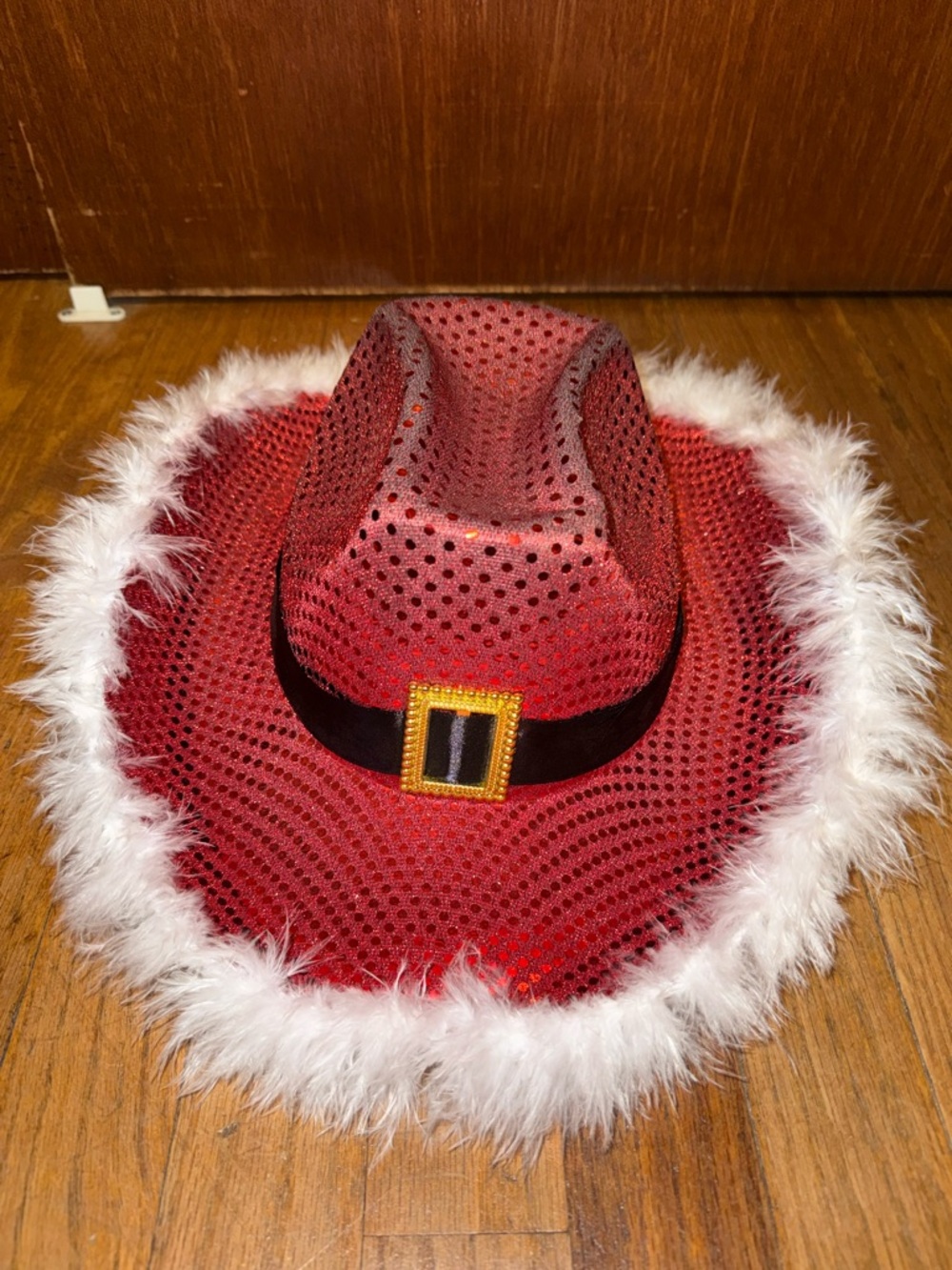 Red Sequin Feather Trim Cowboy Hat